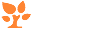 金数据